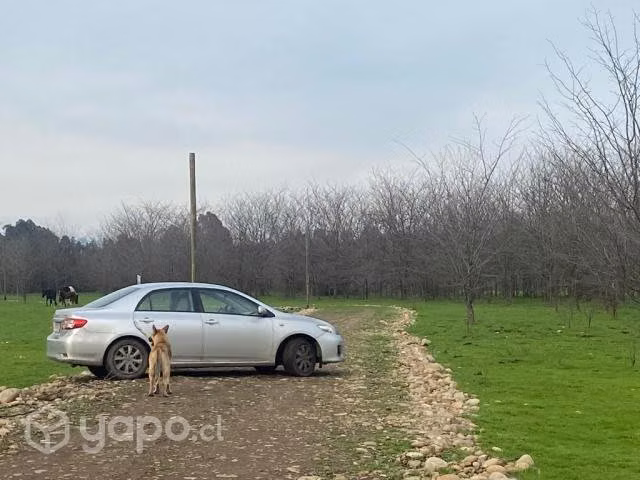 Parcela 5000 m2 con Rol a 10 min. de Talca - Imagen 5