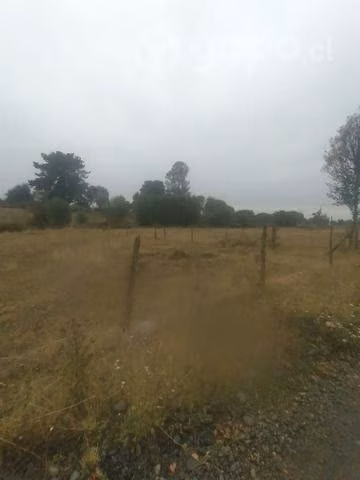Parcela a 17 Km de Osorno - Imagen 7