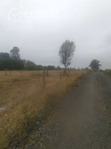 Parcela a 17 Km de Osorno - Imagen 2