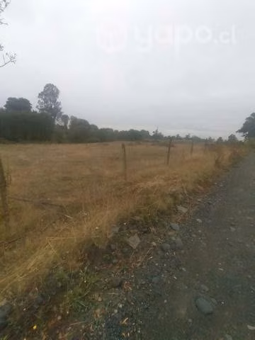 Parcela a 17 Km de Osorno - Imagen 4