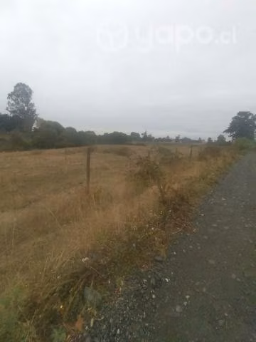 Parcela a 17 Km de Osorno - Imagen 3