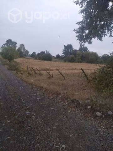 Parcela a 17 Km de Osorno - Imagen 8