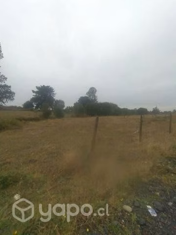 Parcela a 17 Km de Osorno - Imagen 5