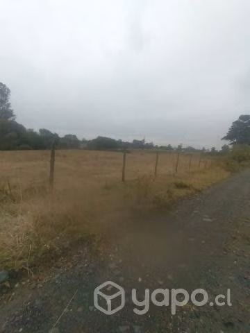 Parcela a 17 Km de Osorno - Imagen 6