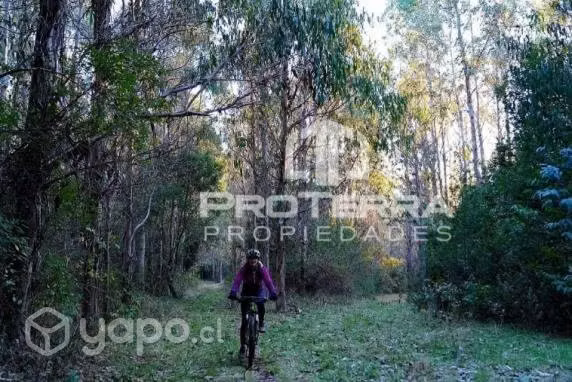 Espectacular Terreno De 56has Con Bosque Nativo