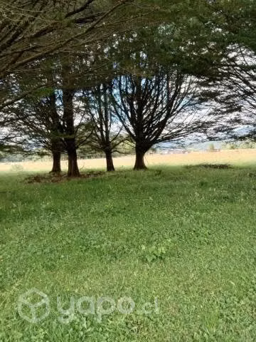 Se venden Parcelas en puerto montt