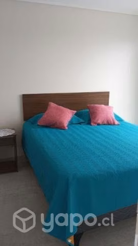 Arriendo departamento amoblado año corrido