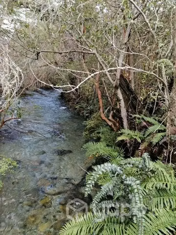 Hermoso terreno con rio y bosque
