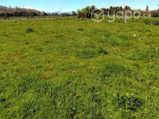 Venta de terreno 3.3 hectareas con casa - Imagen 11