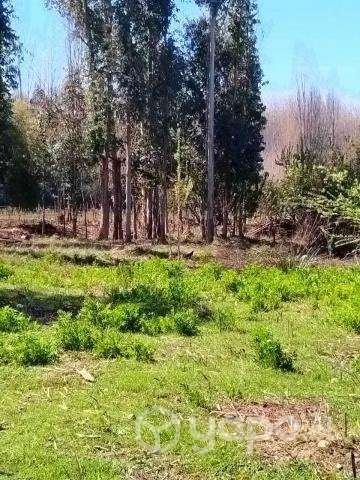 Venta de terreno 3.3 hectareas con casa - Imagen 5