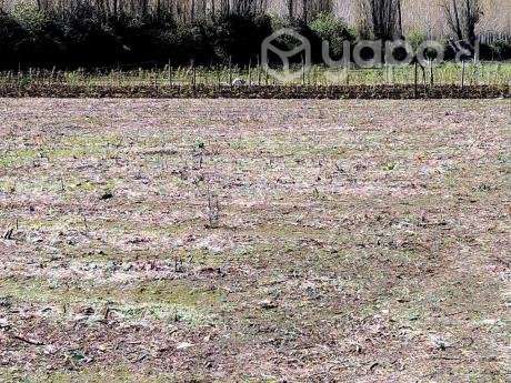 Venta de terreno 3.3 hectareas con casa - Imagen 3