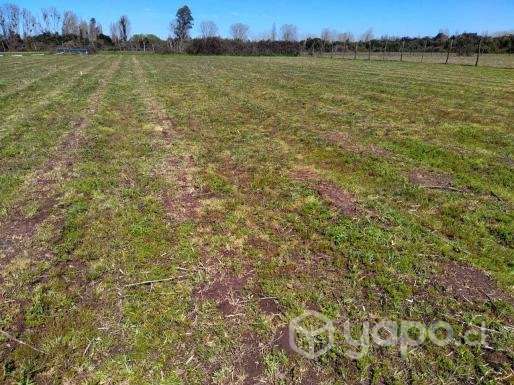 Venta de terreno 3.3 hectareas con casa - Imagen 12