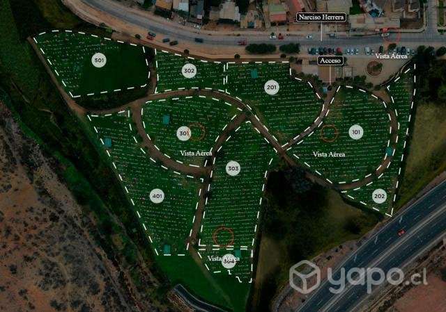 Venta de Sepultura Parque Coquimbo - Imagen 4