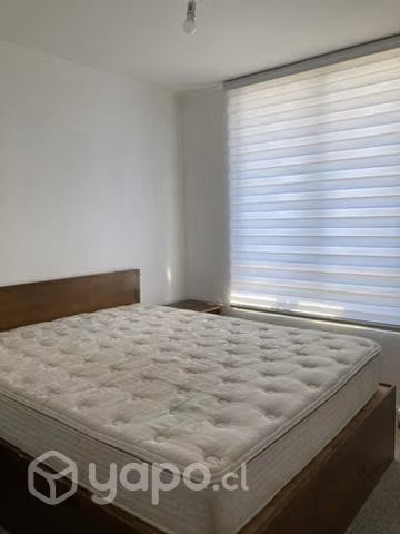 Arrienda departamento de marzo a diciembre 2D/1B