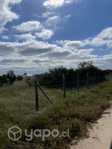 Parcela plana litueche - Imagen 4
