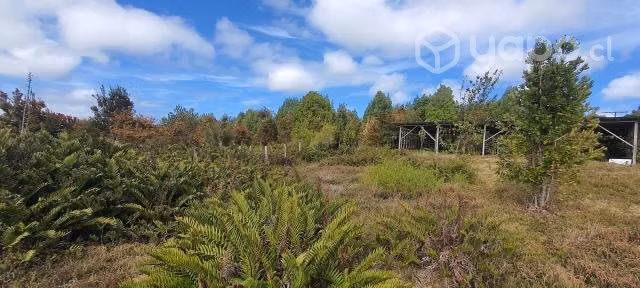 Se vende terreno 36.000 m2 con casa habitable
