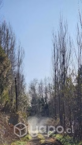 Cabaña tinaja Villarrica y Pucón