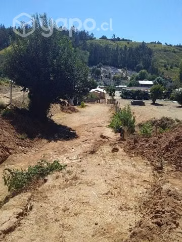 Terreno coelemu ñuble