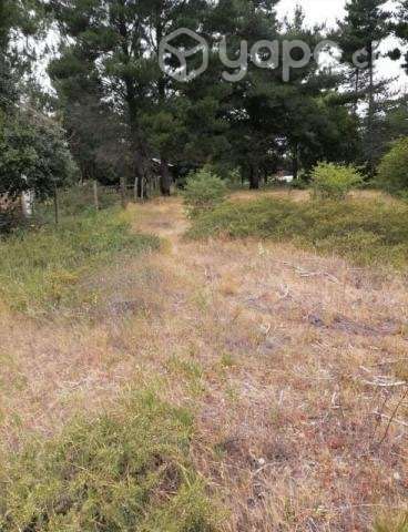 Vendo terreno en Yumbel - Imagen 11