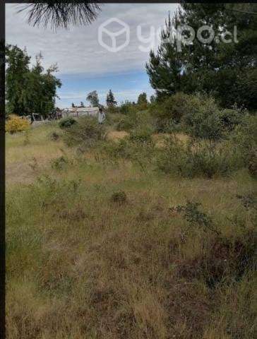 Vendo terreno en Yumbel - Imagen 3