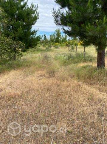 Vendo terreno en Yumbel - Imagen 12