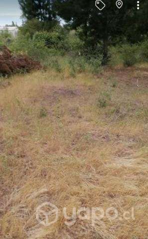 Vendo terreno en Yumbel - Imagen 8