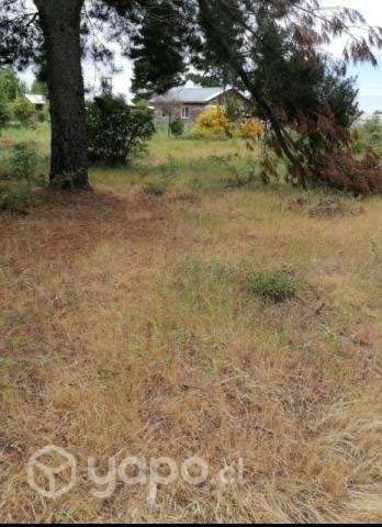 Vendo terreno en Yumbel - Imagen 9