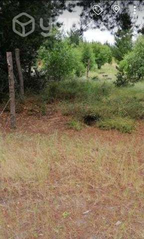 Vendo terreno en Yumbel - Imagen 4