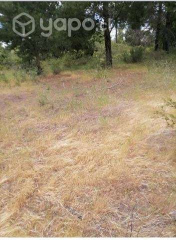 Vendo terreno en Yumbel - Imagen 10