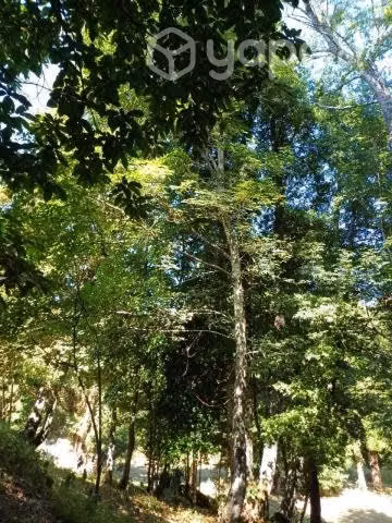 Arriendo Parcela c/Casa, Bosque Nativo, Estacionamiento