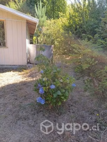 Arriendo Parcela c/Casa, Bosque Nativo, Estacionamiento