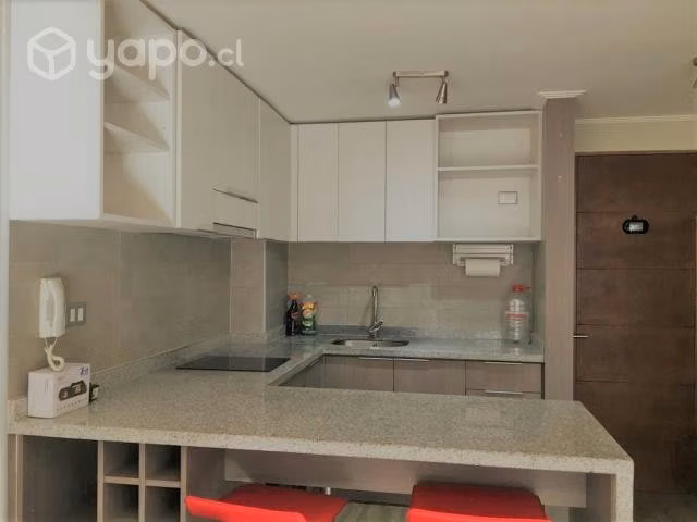 Arriendo Departamento vista Oriente