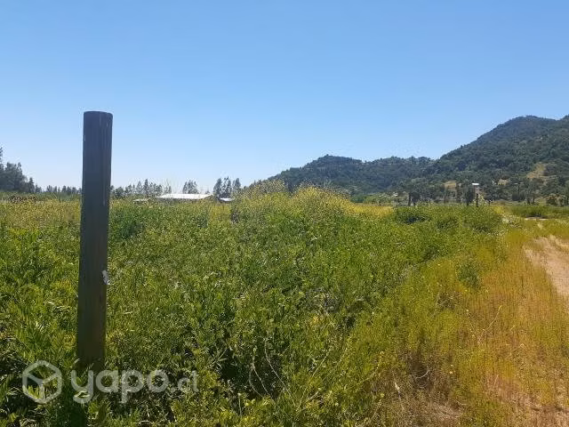 Parcela plana, 5.000m2 vista y entorno priveligiad