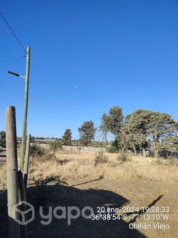 Sitio sector Quillay