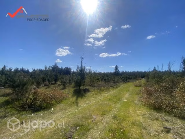 Se vende bella parcela en Los Ángeles