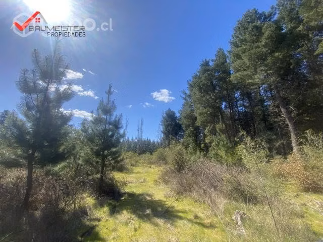 Se vende bella parcela en Los Ángeles