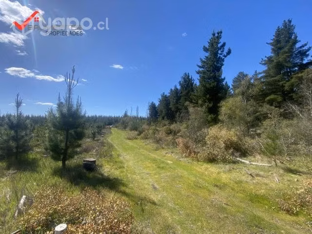 Se vende bella parcela en Los Ángeles