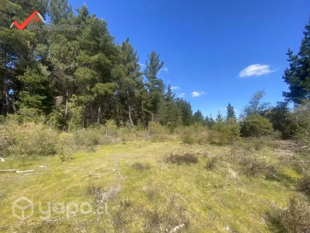 Se vende bella parcela en Los Ángeles