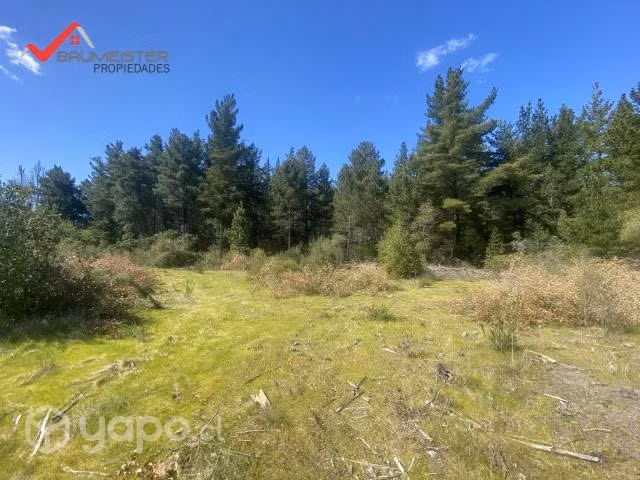 Se vende bella parcela en Los Ángeles