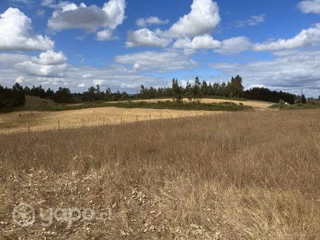Parcela más 1/2 hectarea a 15 min de av alemania