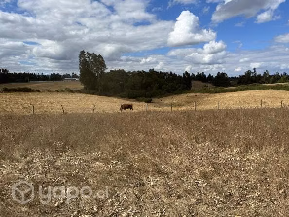 Parcela más 1/2 hectarea a 15 min de av alemania