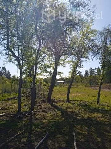 Parcela De agrado