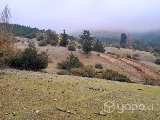 Terreno Comuna Empedrado, Piuco, Maule