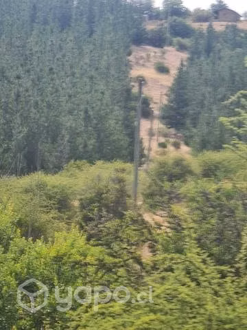 Terreno Comuna Empedrado, Piuco, Maule