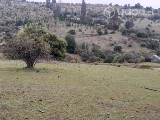 Terreno Comuna Empedrado, Piuco, Maule