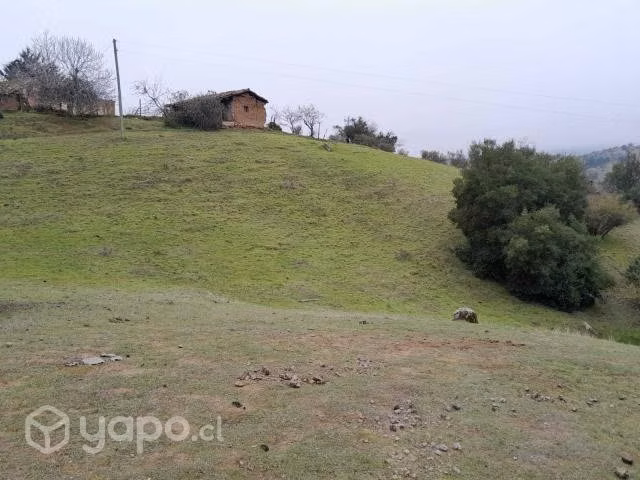Terreno Comuna Empedrado, Piuco, Maule
