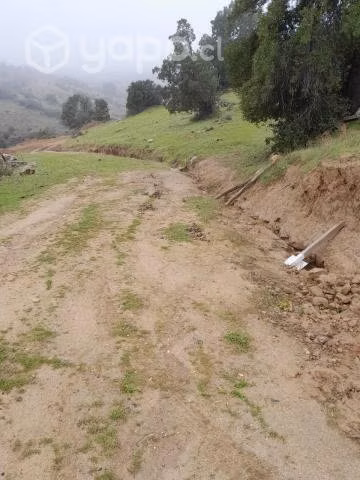 Terreno Comuna Empedrado, Piuco, Maule