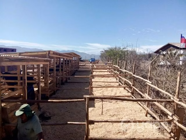 Se vende parcela con casa en pan de azúcar