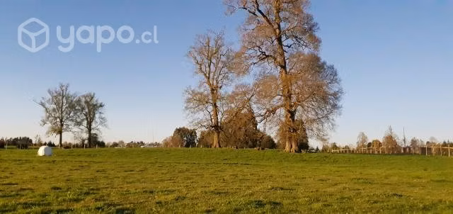 Parcela en Osorno, Casa de Lata