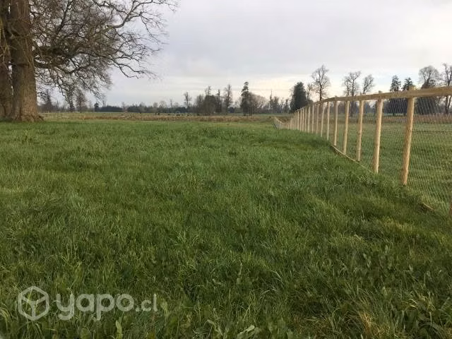 Parcela en Osorno, Casa de Lata